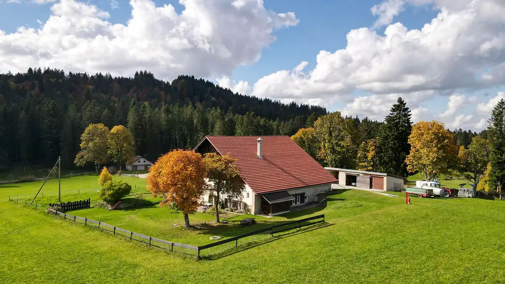 DJI 0166